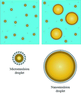 Graphical abstract: Nanoemulsions versus microemulsions: terminology, differences, and similarities