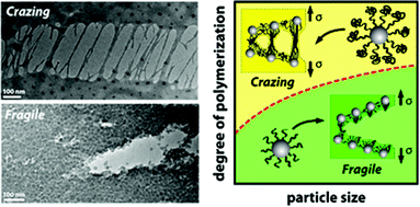 Graphical abstract: Toughening fragile matter: mechanical properties of particle solids assembled from polymer-grafted hybrid particles synthesized by ATRP