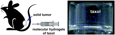 Graphical abstract: Molecular hydrogels of hydrophobic compounds: a novel self-delivery system for anti-cancer drugs