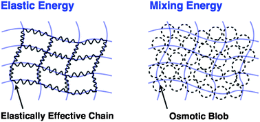 Graphical abstract: Effect of swelling and deswelling on the elasticity of polymer networks in the dilute to semi-dilute region