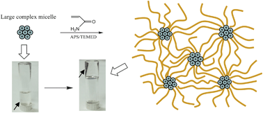 Graphical abstract: Hydrophobically associated hydrogels based on acrylamide and anionic surface active monomer with high mechanical strength