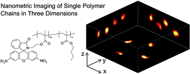 Graphical abstract: Conformational analysis of single polymer chains in three dimensions by super-resolution fluorescence microscopy