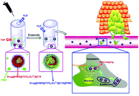 Graphical abstract: Facile preparation of coating fluorescent hollow mesoporous silica nanoparticles with pH-sensitive amphiphilic diblock copolymer for controlled drug release and cell imaging