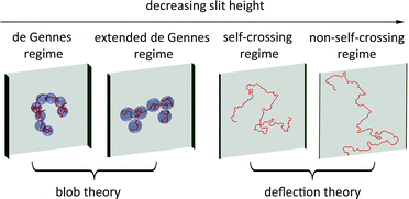 Graphical abstract: A systematic study of DNA conformation in slitlike confinement