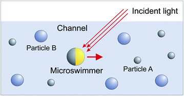 Graphical abstract: Using self-driven microswimmers for particle separation