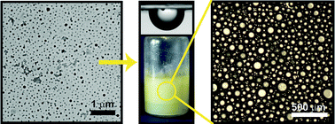 Graphical abstract: Oil-in-water Pickering emulsions stabilized by colloidal particles from the water-insoluble protein zein