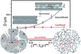 Graphical abstract: Size invariance of fibrous networks of supramolecular soft materials during formation under critical volume confinement