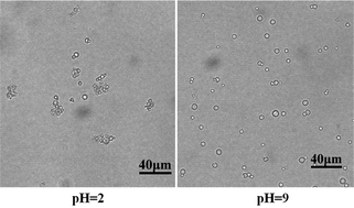 Graphical abstract: Preparation of pH-sensitive polyacrylic acid hollow microspheres and their release properties