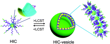 Graphical abstract: Reversible vesicles of supramolecular hybrid nanoparticles