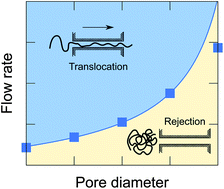 Graphical abstract: Easier sieving through narrower pores: fluctuations and barrier crossing in flow-driven polymer translocation