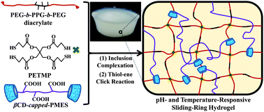 Graphical abstract: Preparation of stimuli-responsive hydrogel networks with threaded β-cyclodextrin end-capped chains via combination of controlled radical polymerization and click chemistry