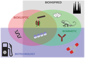 Graphical abstract: Innovation through imitation: biomimetic, bioinspired and biokleptic research