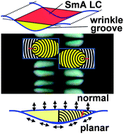 Graphical abstract: Focal conics in a smectic-A liquid crystal in microwrinkle grooves
