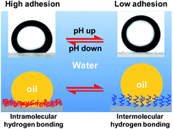 Graphical abstract: An underwater pH-responsive superoleophobic surface with reversibly switchable oil-adhesion