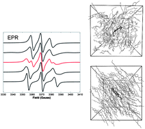 Graphical abstract: Molecular dynamics and EPR spectroscopic studies of 8CB liquid crystal