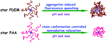 Graphical abstract: pH and ion-species sensitive fluorescence properties of star polyelectrolytes containing a triphenylene core