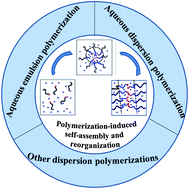 Graphical abstract: Formation of the block copolymer aggregates via polymerization-induced self-assembly and reorganization