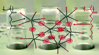 Graphical abstract: Smart hydrogels based on responsive star-block copolymers