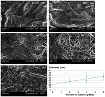 Graphical abstract: Nanofibrillated cellulose surface grafting in ionic liquid
