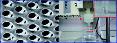 Graphical abstract: Preparation of a highly permeable ordered porous microfiltration membrane of brominated poly(phenylene oxide) on an ice substrate by the breath figure method