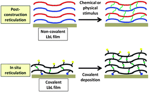 Graphical abstract: Strategies for covalently reticulated polymer multilayers