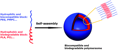 Graphical abstract: Biocompatible and biodegradable polymersomes as delivery vehicles in biomedical applications