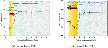 Graphical abstract: Effect of the surface property of poly(tetrafluoroethylene) support on the mechanism of polyamide active layer formation by interfacial polymerization