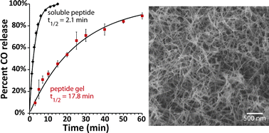 Graphical abstract: A peptide-based material for therapeutic carbon monoxide delivery
