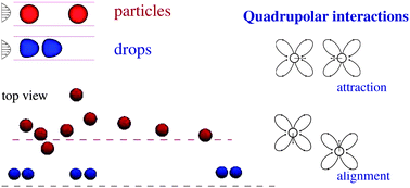 Graphical abstract: Collective dynamics of confined rigid spheres and deformable drops
