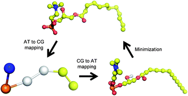 Graphical abstract: Multiscale molecular dynamics simulations of micelles: coarse-grain for self-assembly and atomic resolution for finer details