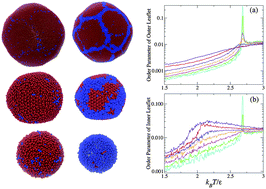 Graphical abstract: Anomalous freezing behavior of nanoscale liposomes