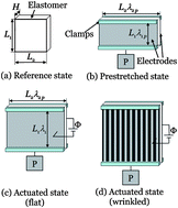 Graphical abstract: Two types of transitions to wrinkles in dielectric elastomers