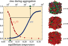 Graphical abstract: Chemical and physical aggregation of small-functionality particles