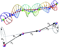 Graphical abstract: Chiral elasticity of DNA