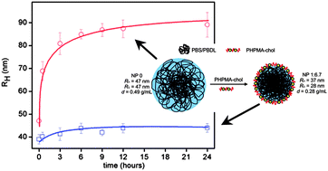 Graphical abstract: Self-assembly of biodegradable copolyester and reactive HPMA-based polymers into nanoparticles as an alternative stealth drug delivery system