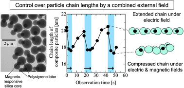Graphical abstract: Magnetoresponsive, anisotropic composite particles reversibly changing their chain lengths by a combined external field