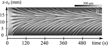 Graphical abstract: Interplay between elastic instabilities and shear-banding: three categories of Taylor–Couette flows and beyond