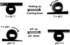 Graphical abstract: Super-hydrophobic surface with switchable adhesion responsive to both temperature and pH