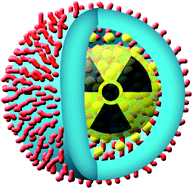 Graphical abstract: Polymersomes as radionuclide carriers loaded via active ion transport through the hydrophobic bilayer