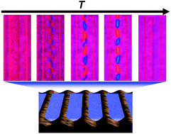 Graphical abstract: Transition of frustrated nematic order and fluctuation of topological defects in microwrinkle grooves