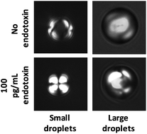 Graphical abstract: Influence of droplet size, pH and ionic strength on endotoxin-triggered ordering transitions in liquid crystalline droplets