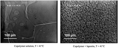 Graphical abstract: Temperature directed-assembly of coated-laponite nanoparticles in pluronic micellar solutions