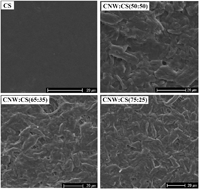 Graphical abstract: High cellulose nanowhisker content composites through cellosize bonding