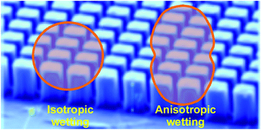 Graphical abstract: The three-phase contact line shape and eccentricity effect of anisotropic wetting on hydrophobic surfaces
