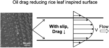 Graphical abstract: Bioinspired micro/nanostructured surfaces for oil drag reduction in closed channel flow