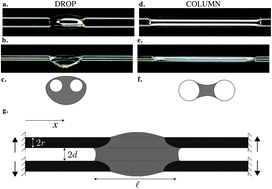 Graphical abstract: Wetting on two parallel fibers: drop to column transitions