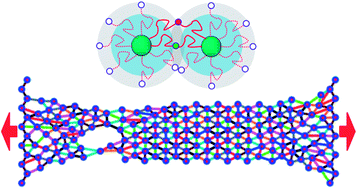 Graphical abstract: Modeling the response of dual cross-linked nanoparticle networks to mechanical deformation