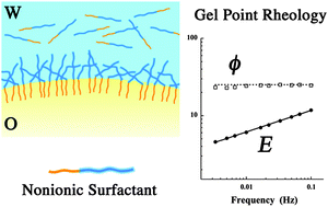 Graphical abstract: Dilatational rheology of a gel point network formed by nonionic soluble surfactants at the oil–water interface