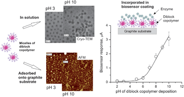 Graphical abstract: Co-assemblies of micelle-forming diblock copolymers and enzymes on graphite substrate for an improved design of biosensor systems