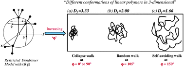 Graphical abstract: Semiflexibility induced range of conformations in dendrimers